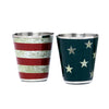 American Flag Bald Eagle Printed Stainless Steel Flask and Shot Glass Set